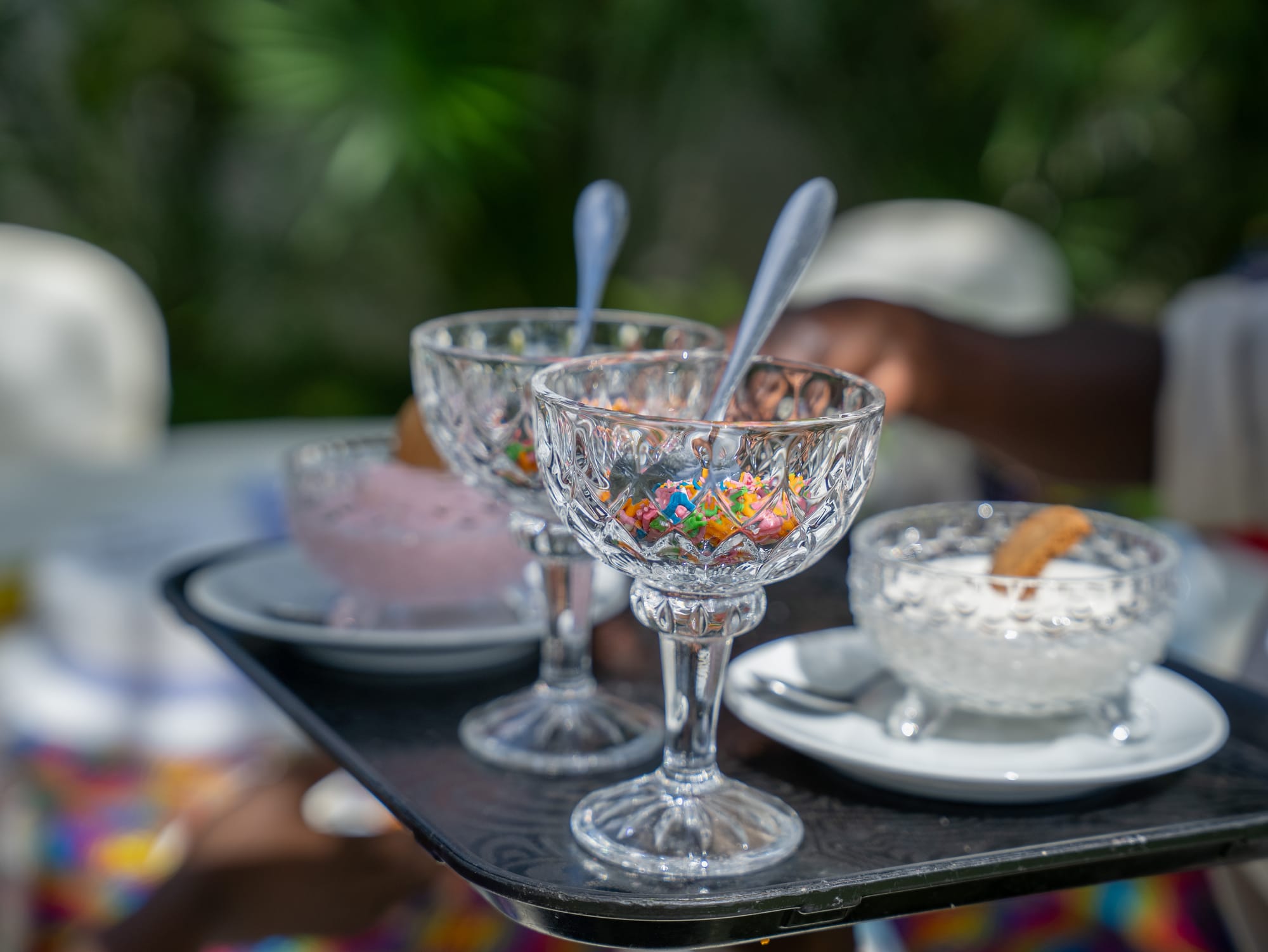 A tray of crystal coupes filled with ice cream and rainbow sprinkles, carried through the KaraSpace garden